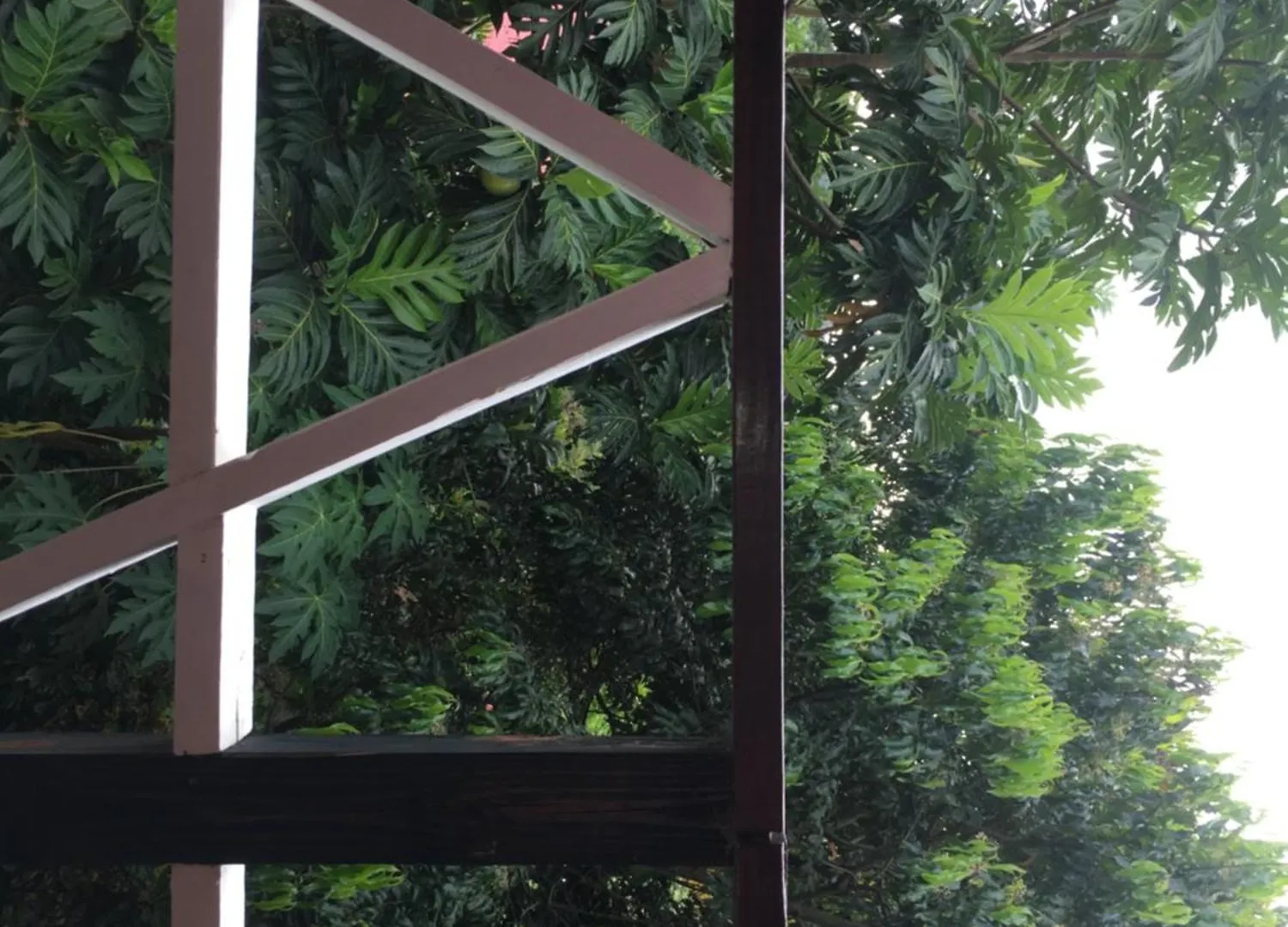 Anthurium Apartment Roseau Dominica