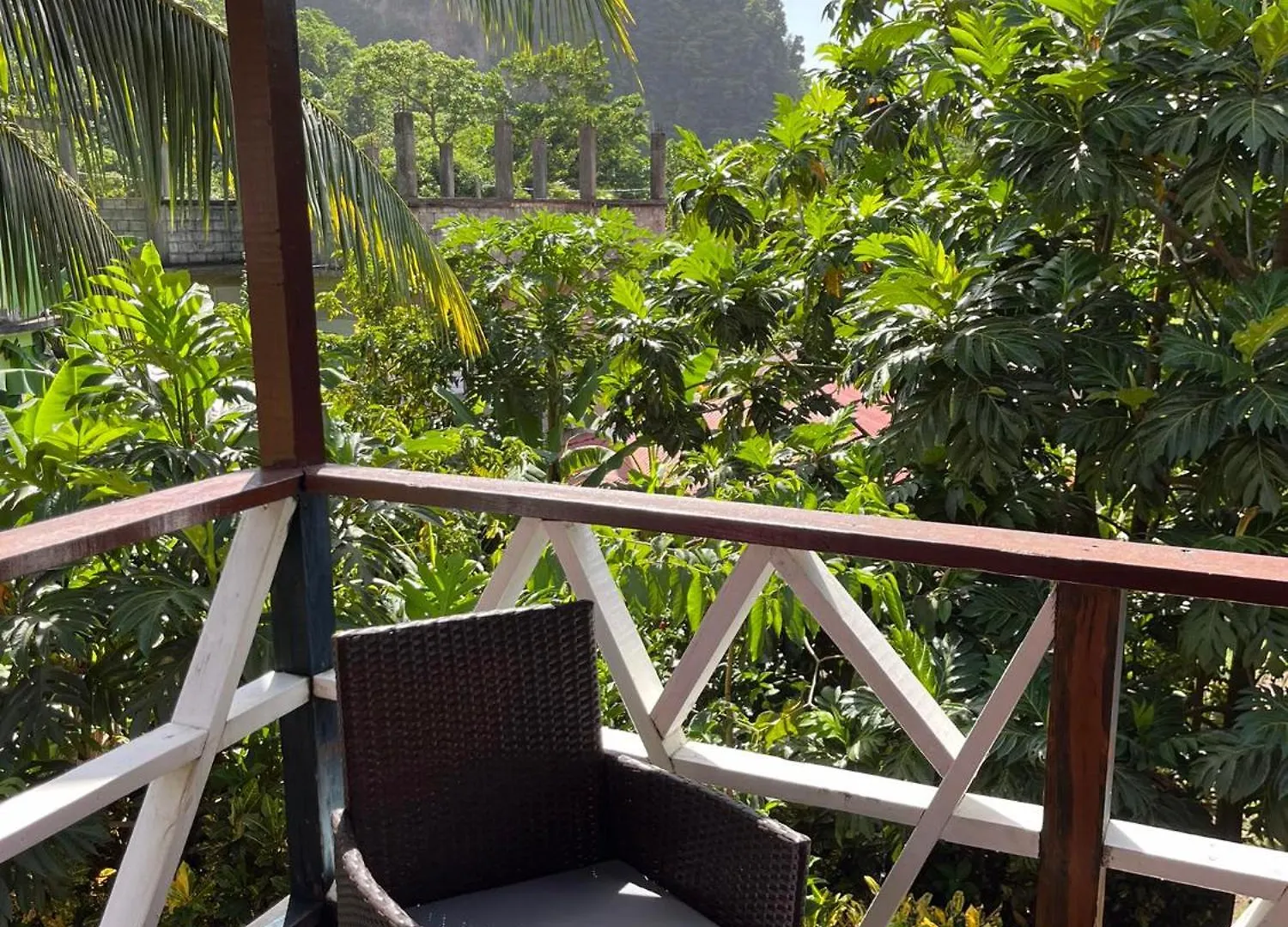 Anthurium Apartment Roseau